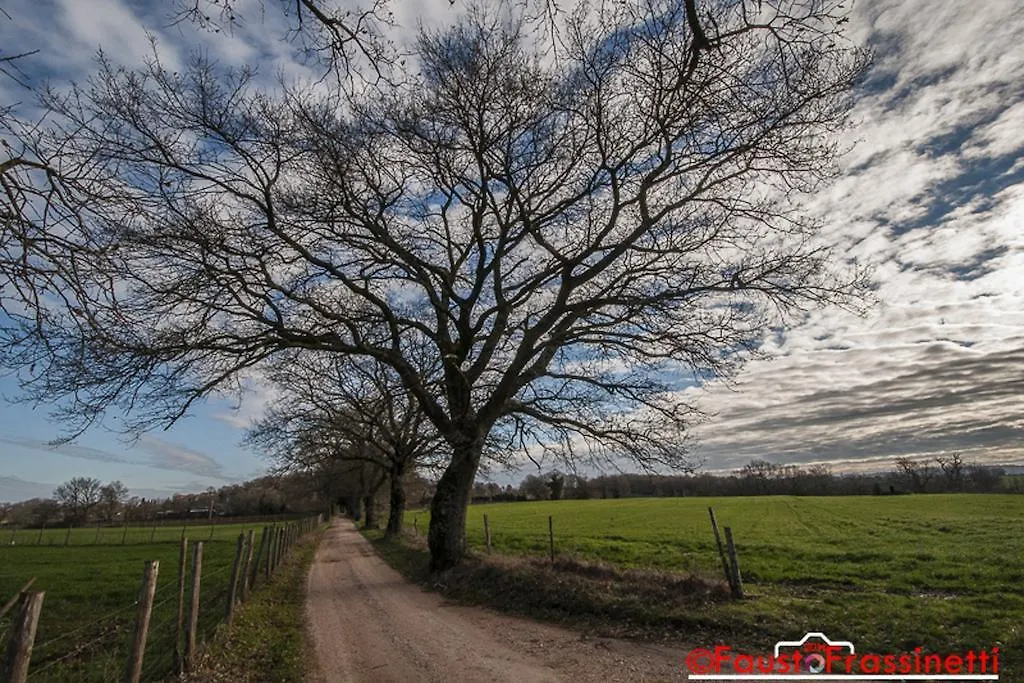 Country house Affittacamere Giusti Magliano in Toscana Italy