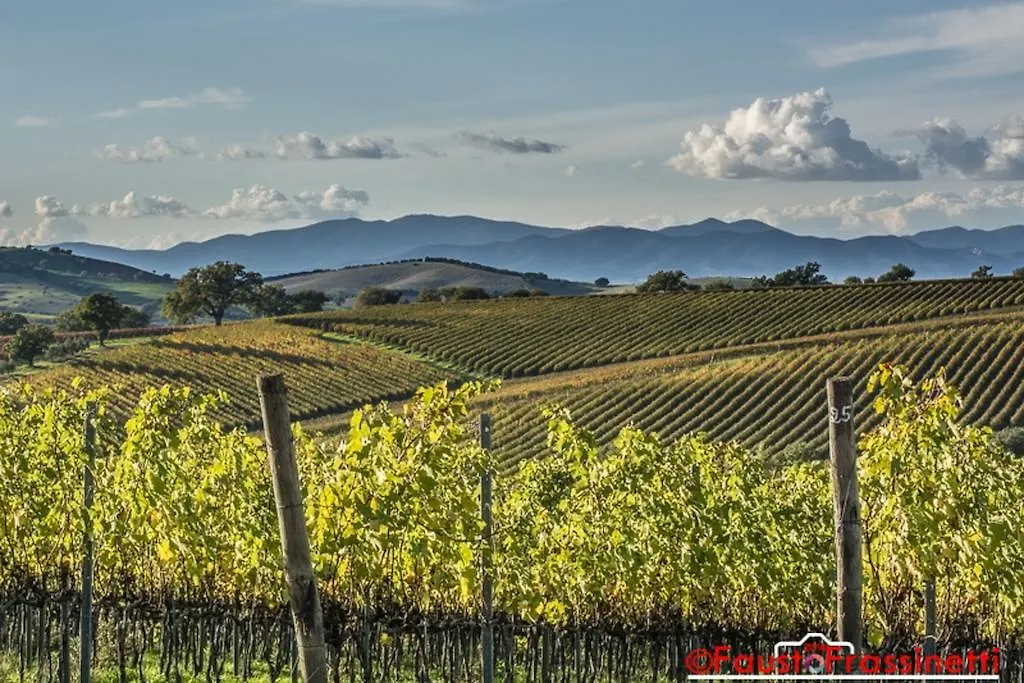 Affittacamere Giusti Magliano in Toscana